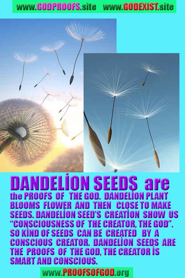 evidences of god, proofs of god, god is real, god exists, no where to escape from GOD