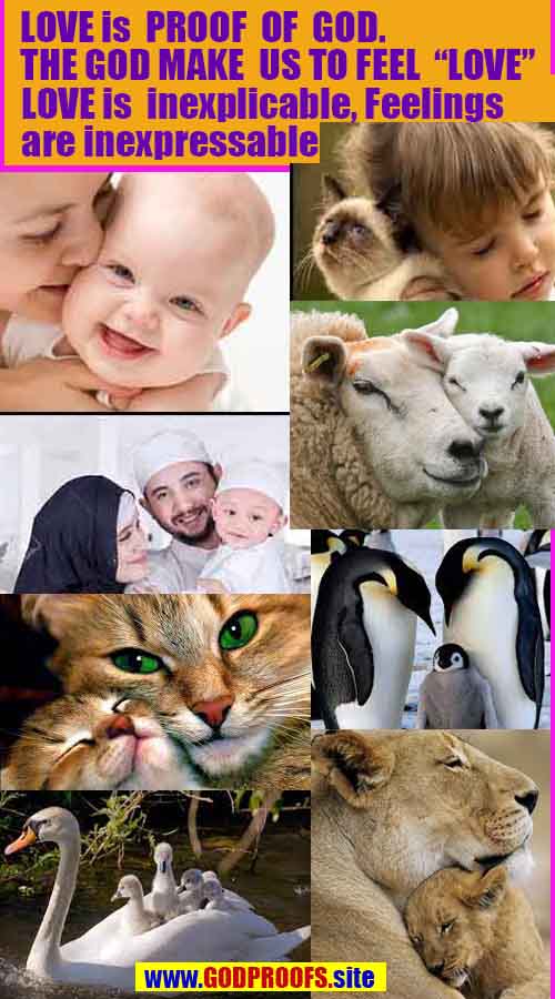 evidences of god, proofs of god, god is real, god exists 