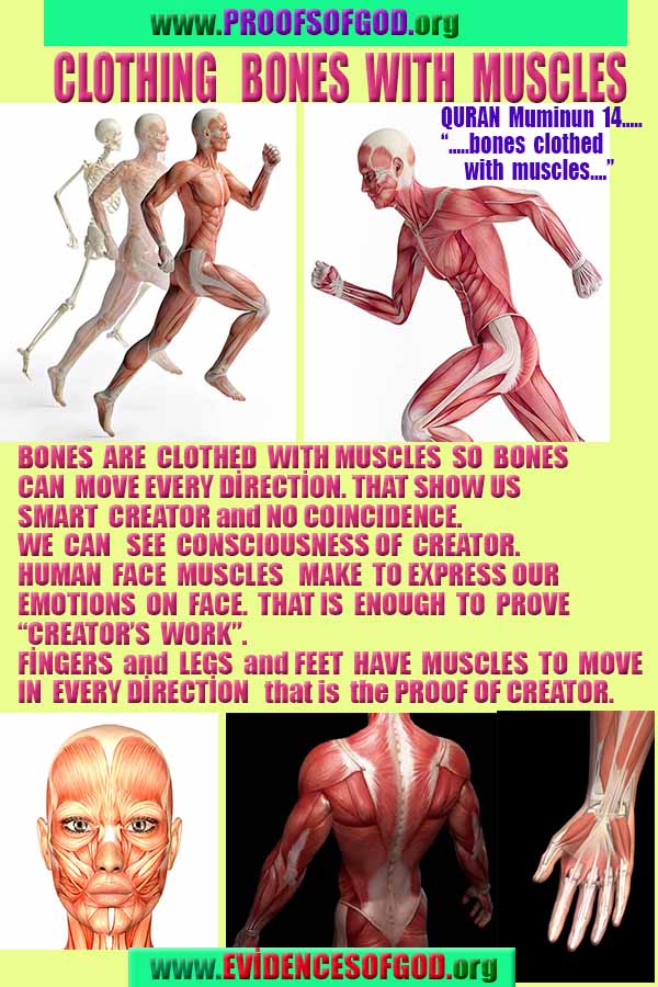 evidences of god, proofs of god, god is real, god exists,  God is everywhere